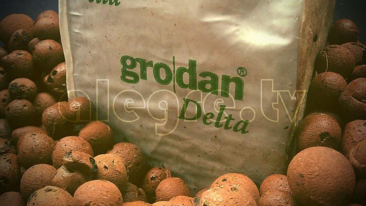 Grodan and Hydroponics 